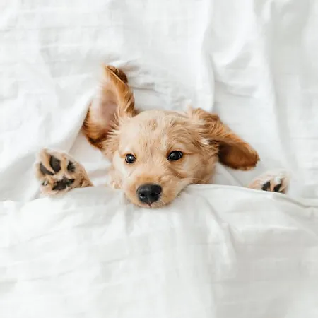 Pestana Miramar Garden & Ocean Hotel